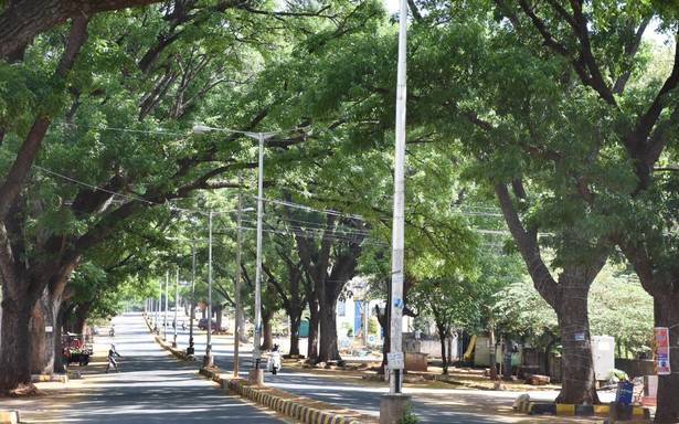 స్వచ్ఛ సర్వేక్షణ్ 2021: మైసూరు 12వ స్థానానికి పడిపోయింది